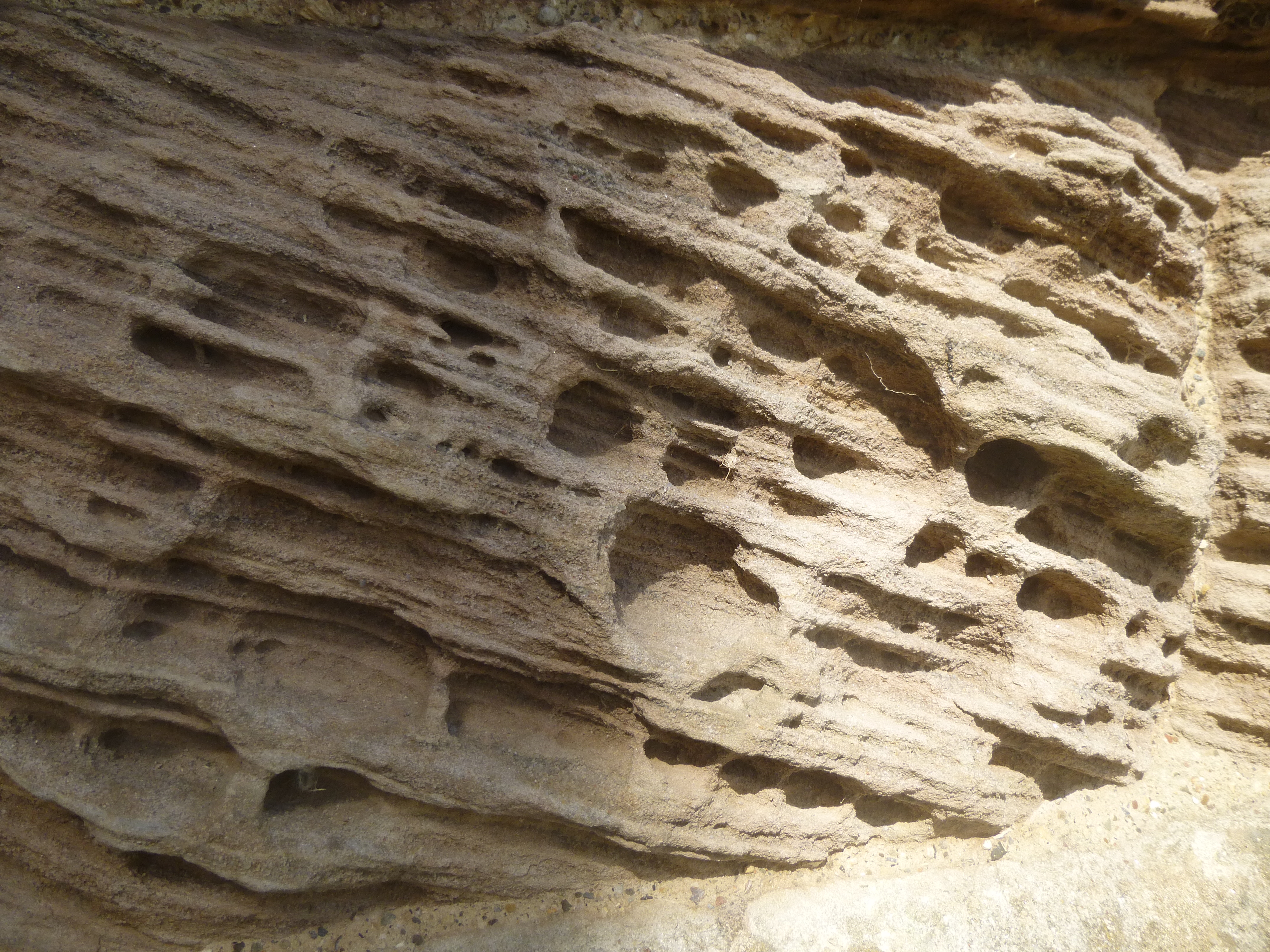Close-up of eroded sandstone wall.
